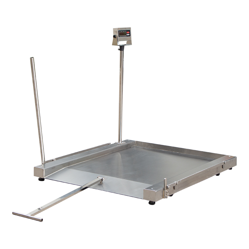 304不銹鋼可移動平臺秤